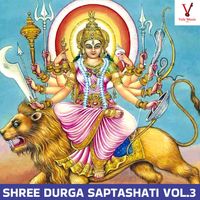 Rattan Mohan Sharma - Shree Durga Saptashati, Vol.3