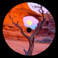Palette - Caelora