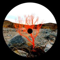 Palette - Aetheris