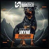 Vkyng - DodShow