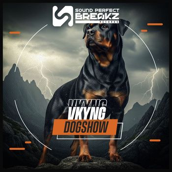 Vkyng - DodShow
