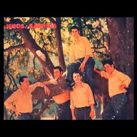 Los Hermanos Barrios - Viejo Naranjal