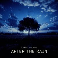 Tommee Profitt - After The Rain (Instrumental)