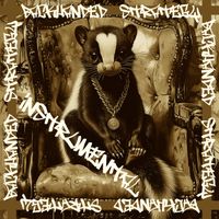 SKUNK - Backhanded Strategy (Instrumental)