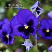 Estevan Bernal - Word Of The Phantasmist