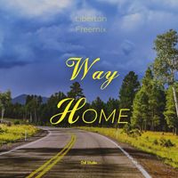 Liberton Freemix - Way home