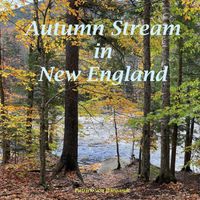 Patrick Von Wiegandt - Autumn Stream in New England
