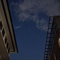 rené - Cobblestone and June Bugs