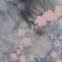 Yana Yanai - Breeze
