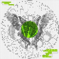 Kermode - Impermanence