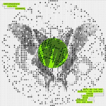 Kermode - Impermanence