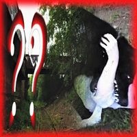 algo - Dogma