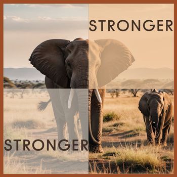 Various Artists - Stronger
