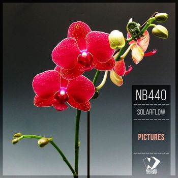SolarFlow - Pictures