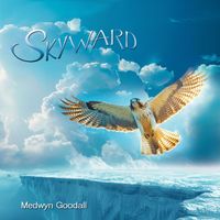 Medwyn Goodall - Skyward