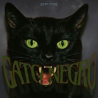 Carlitos - Gato Negro