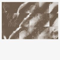 Peter Knight - For a Moment the Sky Knew My Name