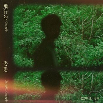 DEW - In Flight