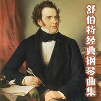 兰秋月 - 舒伯特经典钢琴曲集 小夜曲 古典音乐纯音乐