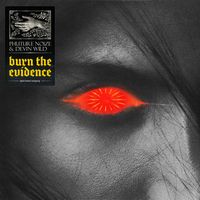 Phuture Noize and Devin Wild - Burn The Evidence