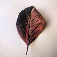 emb–s。 - Start Again