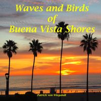 Patrick Von Wiegandt - Waves and Birds of Buena Vista Shores