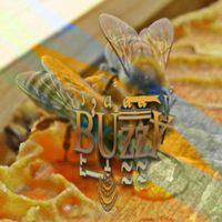 DAMA - BUZZY (Explicit)