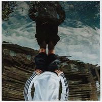 1991 - Eg såg en svane dø