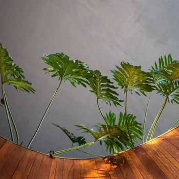 Viana - do this love (Explicit)