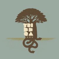 Tribeqa - Secteur 22