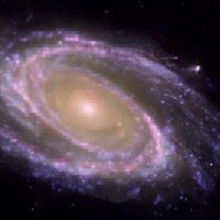 viceversa - From Nowhere