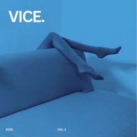 Mr. Nobody - Vice, Vol. 1