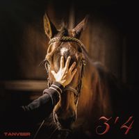 Tanveer - 3'4