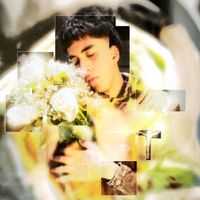 Plastikboy - quieremeunpoco