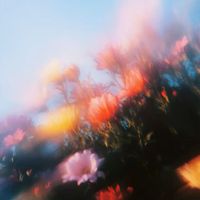 Rest - Las Flores Q Te Di