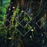 Jinto - Emergence