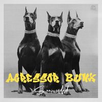 Agressor Bunx - Surrounded