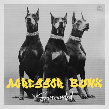 Agressor Bunx - Surrounded