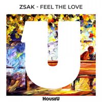 Zsak - Feel the Love