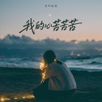 莫叫姐姐 - 我的心苦苦苦 (莫叫版)