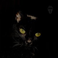 Silk - NIGHTCRAWLER (Explicit)