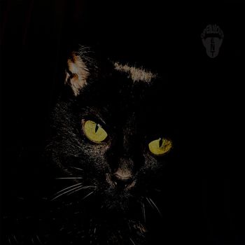 Silk - NIGHTCRAWLER (Explicit)