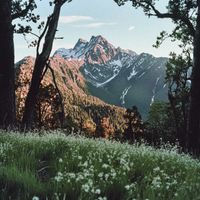 Aisake - On Top of the Mountain