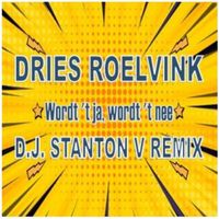 Dries Roelvink - Wordt 't ja, wordt 't nee (DJ Stanton V Remix)