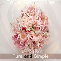 Eduardo Gonzales - Pure and Simple
