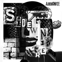 Ammonite - Sidewinder