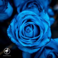 Deniz - The Blue Rose