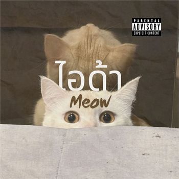 TECHIN - ไอด้า (Explicit)