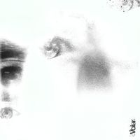 Theo - Volar