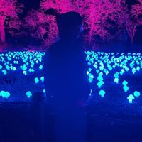 TRip - SOunDScaPEs aND drUMs